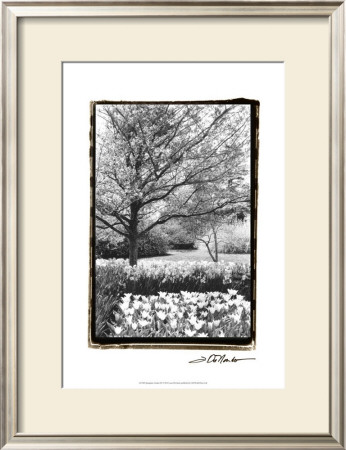 Springtime Garden Iii by Laura Denardo Pricing Limited Edition Print image