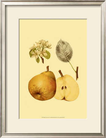 Ripe For Harvest Ii by Heinrich Pfeiffer Pricing Limited Edition Print image