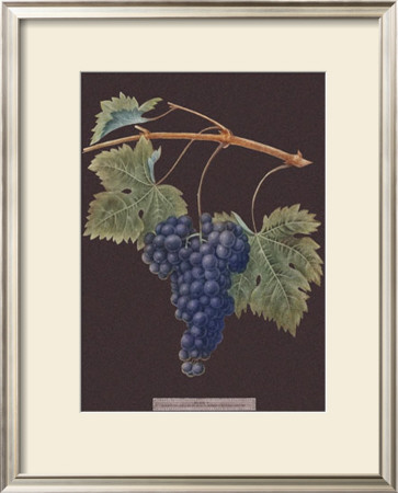 Purple Grapes by George Brookshaw Pricing Limited Edition Print image