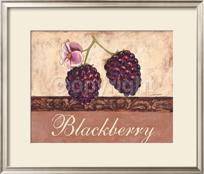 Blackberry by Steff Green Pricing Limited Edition Print image