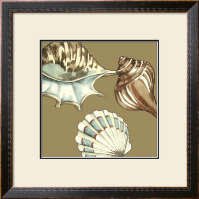 Shell Trio On Khaki Iii by Megan Meagher Pricing Limited Edition Print image