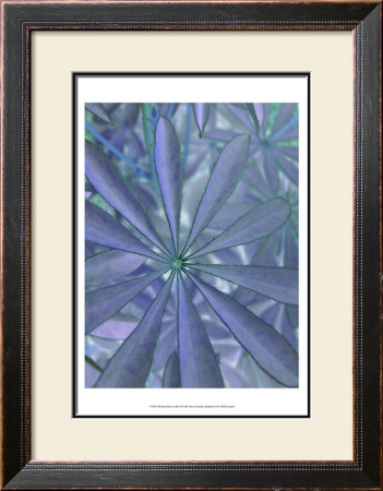 Woodland Plants In Blue Ii by Sharon Chandler Pricing Limited Edition Print image