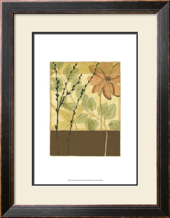 Printed Tranquil Garden I by Jennifer Goldberger Pricing Limited Edition Print image