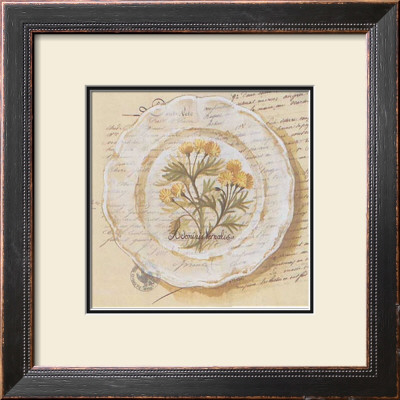 Assiette, Adonis Vernalis by Pascal Cessou Pricing Limited Edition Print image