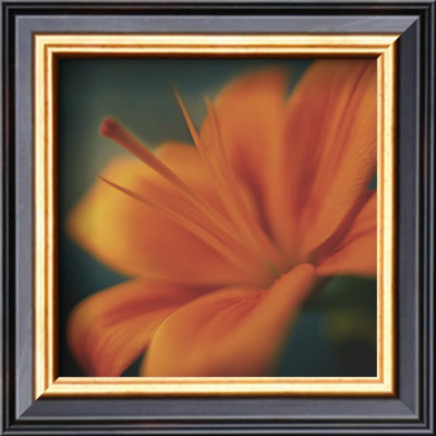 Orange On Turquoise by Jane Ann Butler Pricing Limited Edition Print image