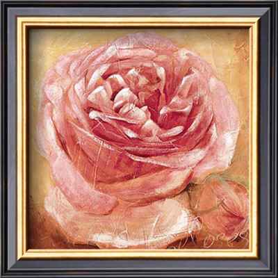 Rose Garden, A Glimpse by Gabor Barthez Pricing Limited Edition Print image