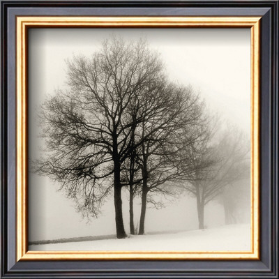 Winter Grove by Ilona Wellmann Pricing Limited Edition Print image