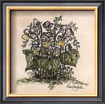 Mixe Pansies by Mary Hughes Pricing Limited Edition Print image