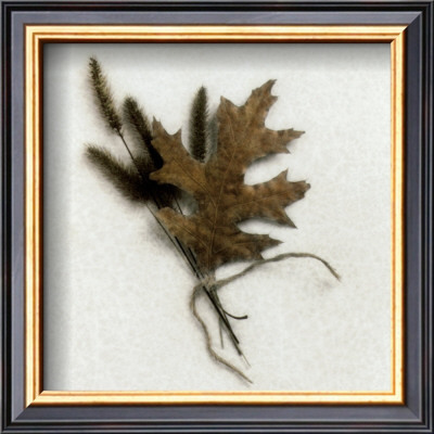 Oak Leaf by Dick & Diane Stefanich Pricing Limited Edition Print image