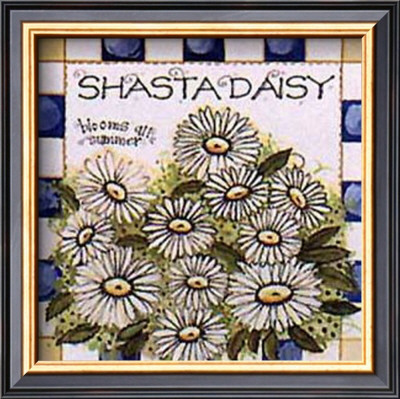 Shasta Daisy by Joy Marie Heimsoth Pricing Limited Edition Print image