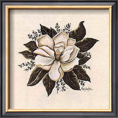 Magnolia by Mary Hughes Pricing Limited Edition Print image