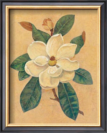 Magnolia Grandiflora by Lee Jamieson Pricing Limited Edition Print image
