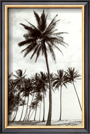 Manzanilla Point Palms by Evelyn Barnes Pricing Limited Edition Print image