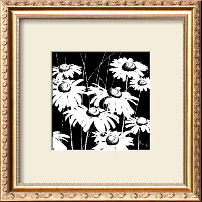 Black And White Daisy by Franz Heigl Pricing Limited Edition Print image