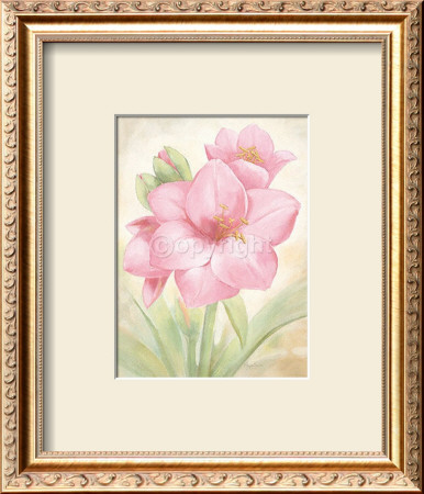 Amaryllis by Angela Bionda Pricing Limited Edition Print image