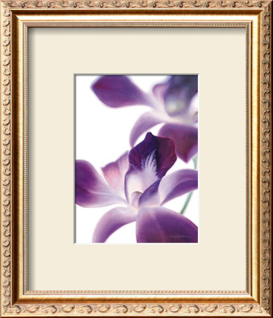 Purple Orchid I by Annemarie Peter-Jaumann Pricing Limited Edition Print image
