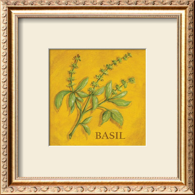 Basil by Kate Mcrostie Pricing Limited Edition Print image