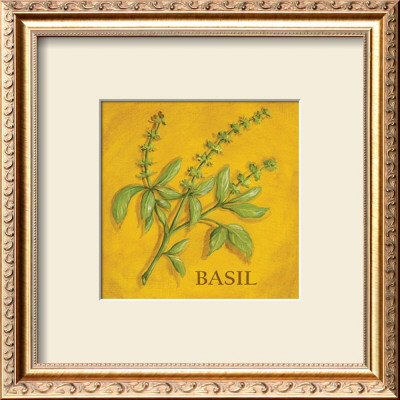 Basil by Kate Mcrostie Pricing Limited Edition Print image