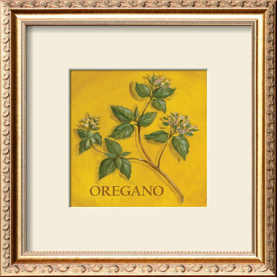 Oregano by Kate Mcrostie Pricing Limited Edition Print image