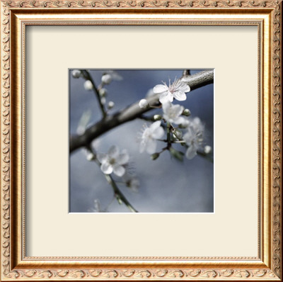 Cherry Blossoms I by Heather Johnston Pricing Limited Edition Print image