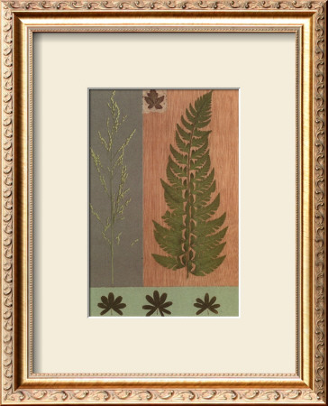 Green Fern by Denise Duplock Pricing Limited Edition Print image