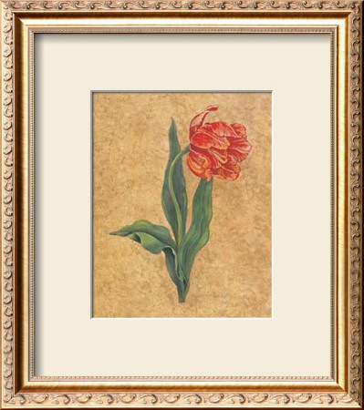 Parrot Tulip by Lee Jamieson Pricing Limited Edition Print image