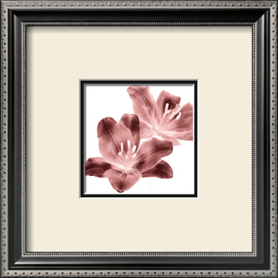 Red Lilies by Dick & Diane Stefanich Pricing Limited Edition Print image