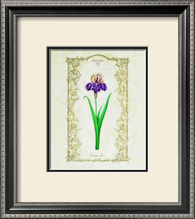 German Iris by Eva Komura Pricing Limited Edition Print image