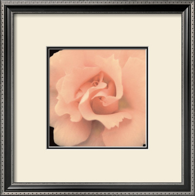 Bliss I by S. G. Rose Pricing Limited Edition Print image