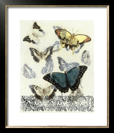 Butterfly Habitat Ii by Jennifer Goldberger Pricing Limited Edition Print image
