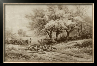 Herding Sheep by Carl Weber Pricing Limited Edition Print image