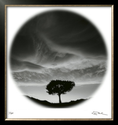 Sunlit Tree by Ken Paul Pricing Limited Edition Print image