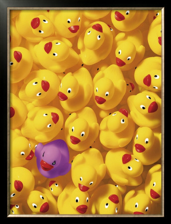 Quack, Quack I by Dave Brullmann Pricing Limited Edition Print image
