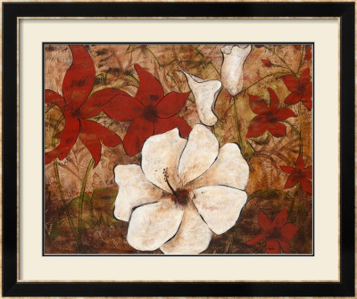 Tropical Allure Ii by Katrina Craven Pricing Limited Edition Print image