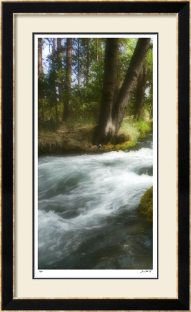 Serenity Stream I by Joy Doherty Pricing Limited Edition Print image