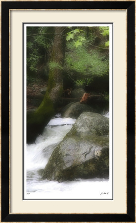In The Flow I by Joy Doherty Pricing Limited Edition Print image