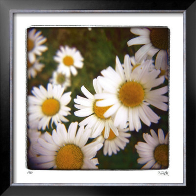 Sunny Side Up by Rebecca Tolk Pricing Limited Edition Print image