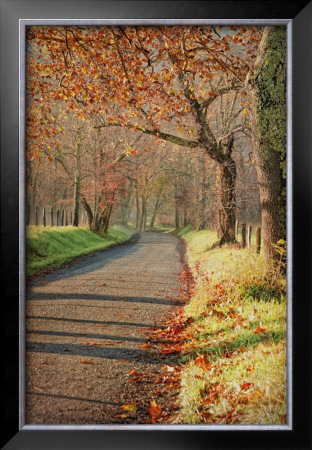 Morning On Sparks Lane Iii by Danny Head Pricing Limited Edition Print image
