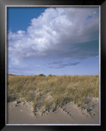 Dunes Of Autumn by Dwight Hiscano Pricing Limited Edition Print image