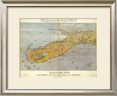 Florida And Part Of Georgia And Alabama, C.1861 by John Bachmann Pricing Limited Edition Print image