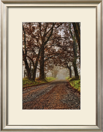 Morning On Sparks Lane Ii by Danny Head Pricing Limited Edition Print image