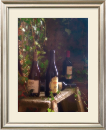 Wine Cellar Ii by Donna Geissler Pricing Limited Edition Print image