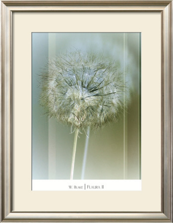 Flaura Ii by W. Blake Pricing Limited Edition Print image