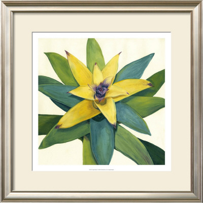 Tropical Bloom I by Megan Meagher Pricing Limited Edition Print image