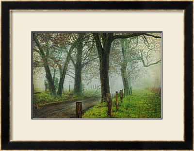 Morning On Sparks Lane Iv by Danny Head Pricing Limited Edition Print image