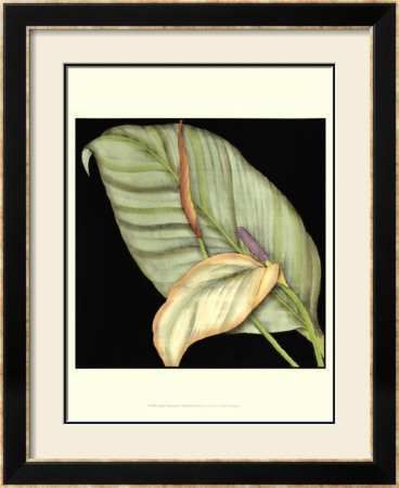 Graphic Tropicals Ii by Jennifer Goldberger Pricing Limited Edition Print image