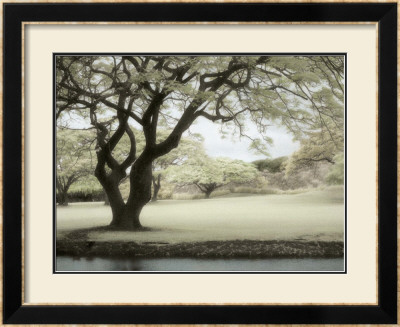 Soft Light I by Dianne Poinski Pricing Limited Edition Print image