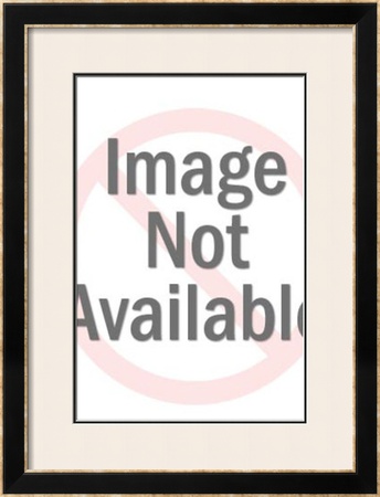 Kim Novak by La Dolce Vita Archive Pricing Limited Edition Print image