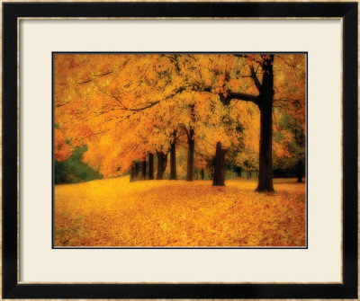 Gold Of Autumn West by M. Ellen Cocose Pricing Limited Edition Print image