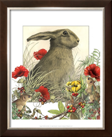 Hare And Mice by Alan Baker Pricing Limited Edition Print image